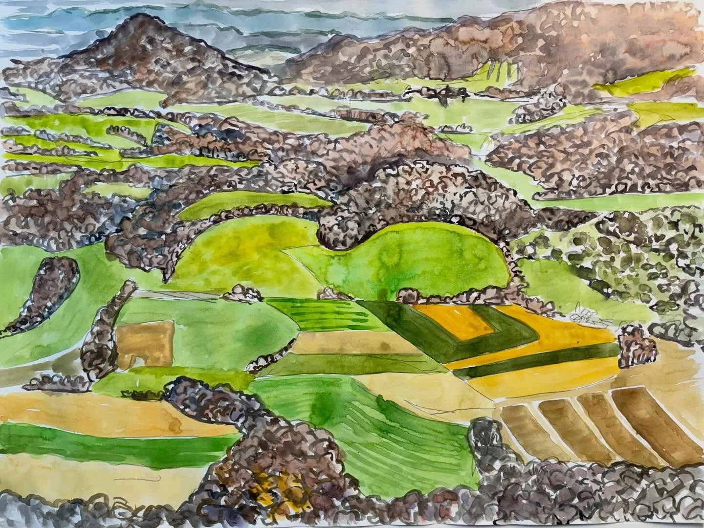 #SneakPreviewSunday by #JosephOpshinskyFineArt - Appalachian Trail near Eckville, PA.
&bull;
&bull;
&bull; 
#watercolor #appalachiantrail #pennsylvania