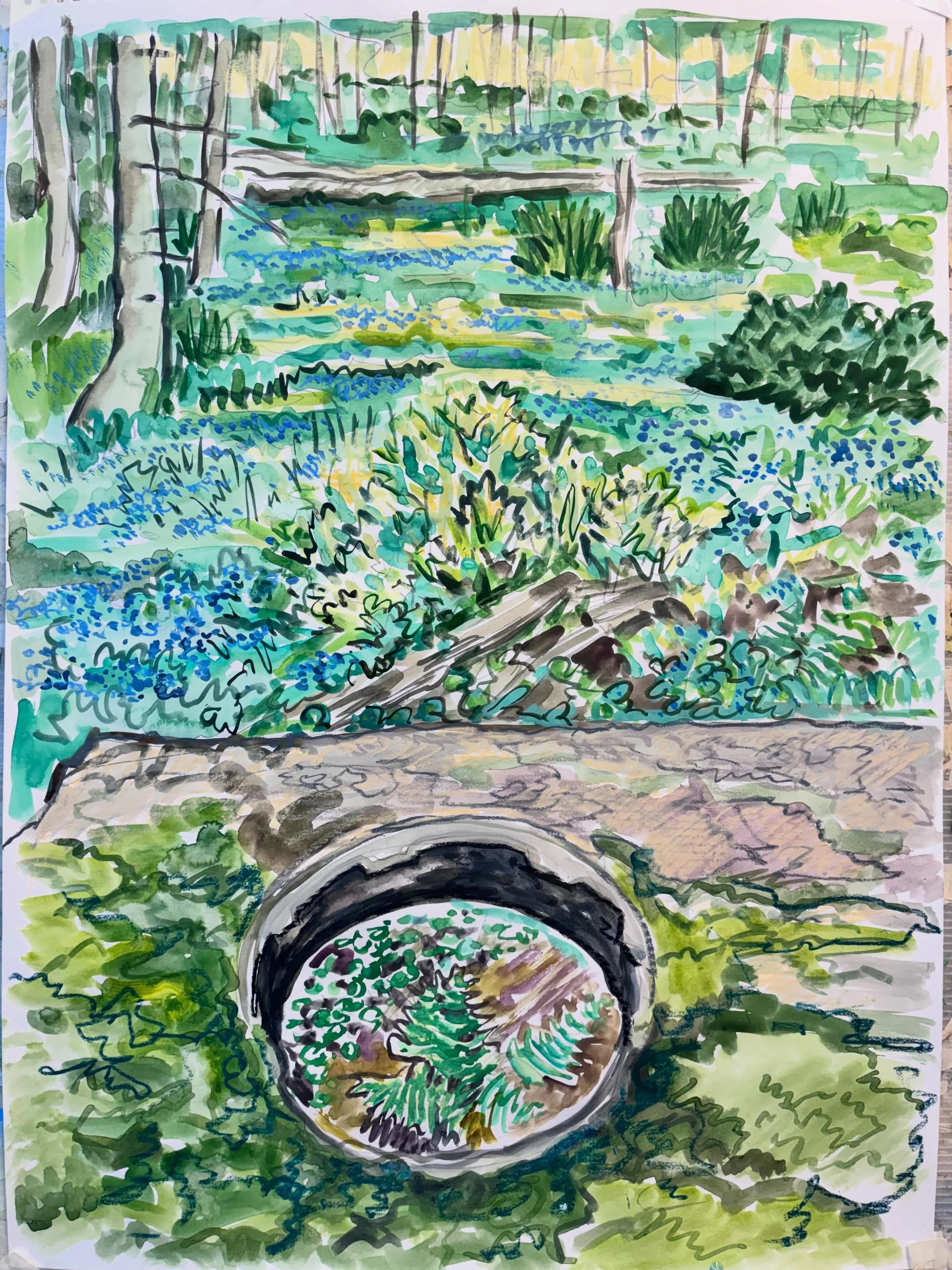 #WatercolorWednesday by #JosephOpshinskyFineArt -Along Leggetts Creek in the Notch
&bull;
&bull;
&bull;
&bull; 
#watetcolor #inliquidartist #worksonpaper
