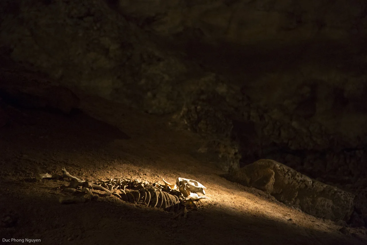10.06.2012. Jenolan Caves.