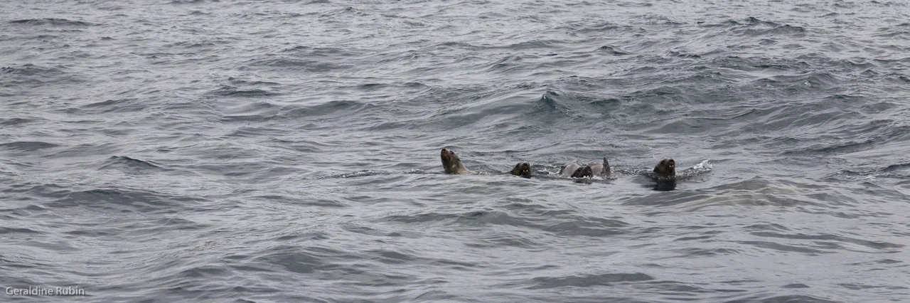 South Coast Road Trip, Day3.
Jervis Bay.