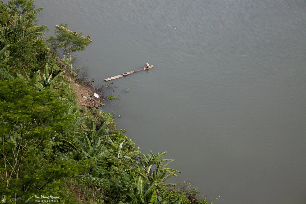 A riverbank with dense green trees and plants, and a small wooden dock extending into the water.