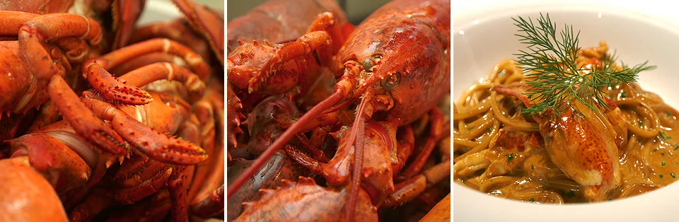 Lighthouse_Lobster Row-Colour.jpg