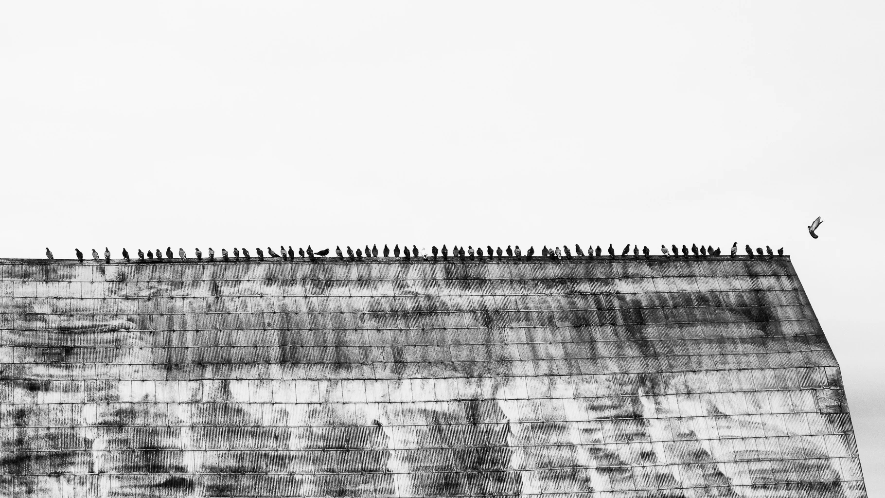 _OMD2811-Edit.jpg