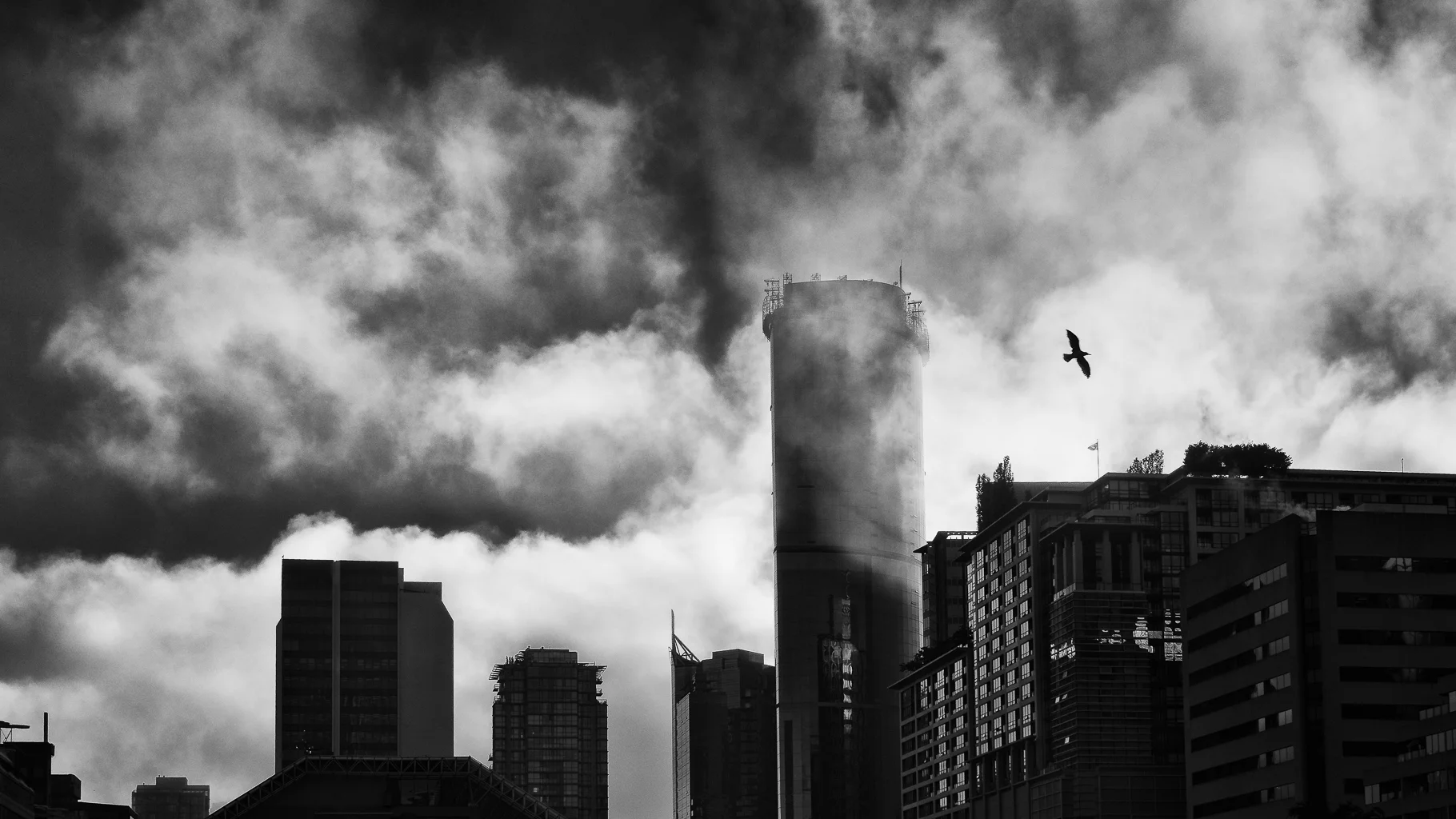 _OMD1208-Edit.jpg