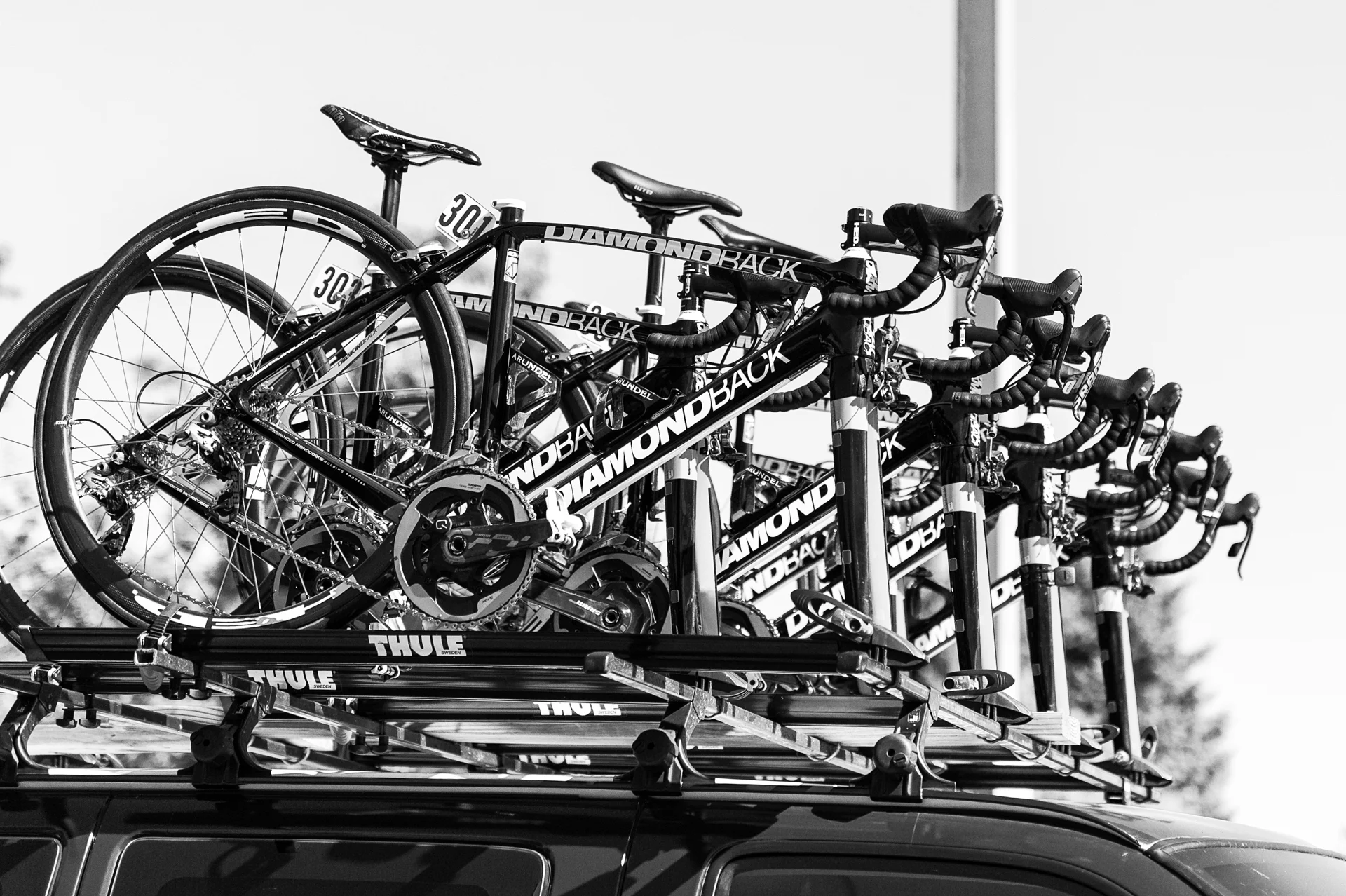 DSC_9169-Edit.jpg