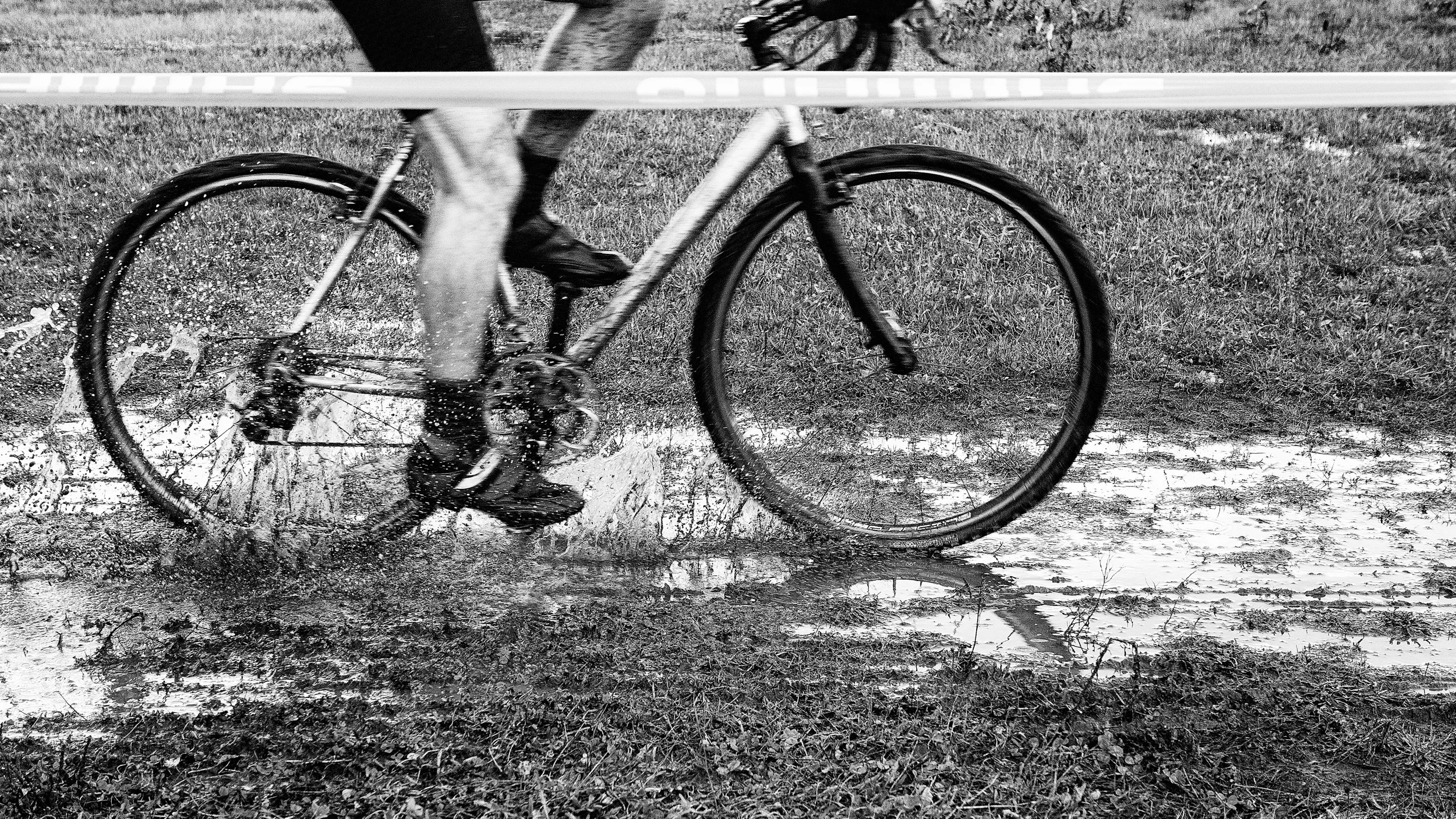 VCXC Aldergrove CX - 23.11.2014