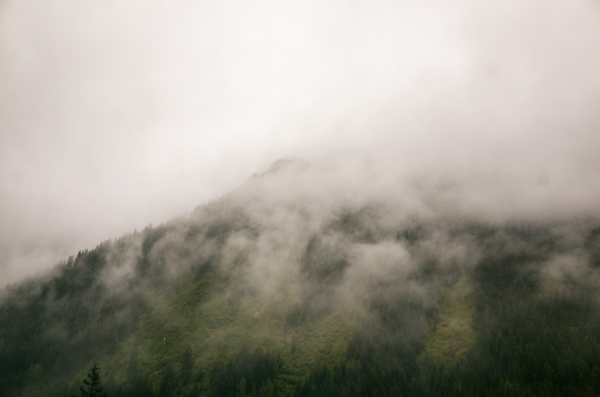 Stevens Pass.