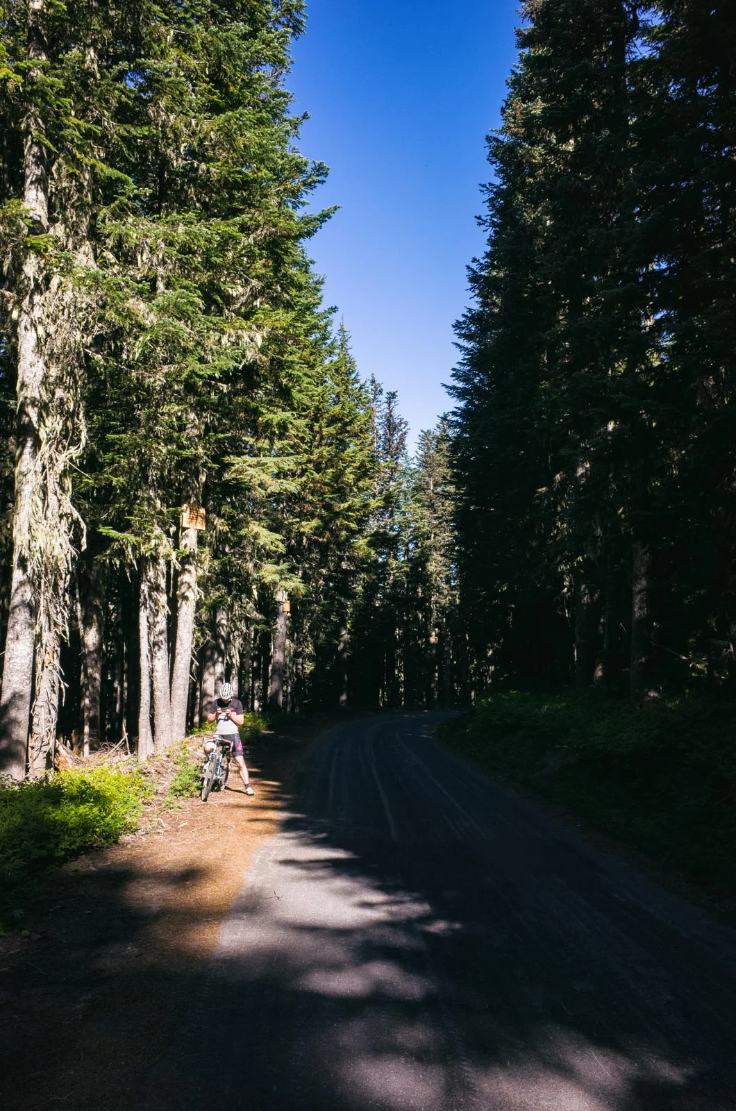 Mount Hood00011.jpg