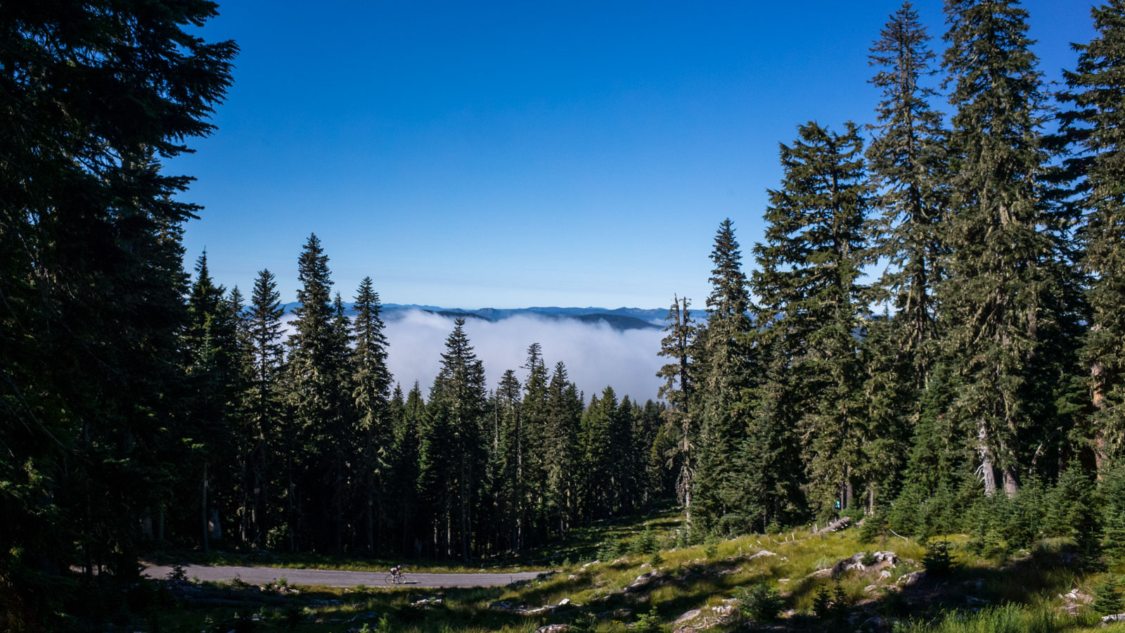 Mount Hood00015.jpg