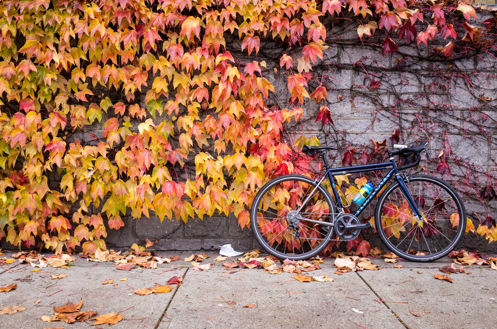 It was dry enough to take the summer bike out for one last spin.