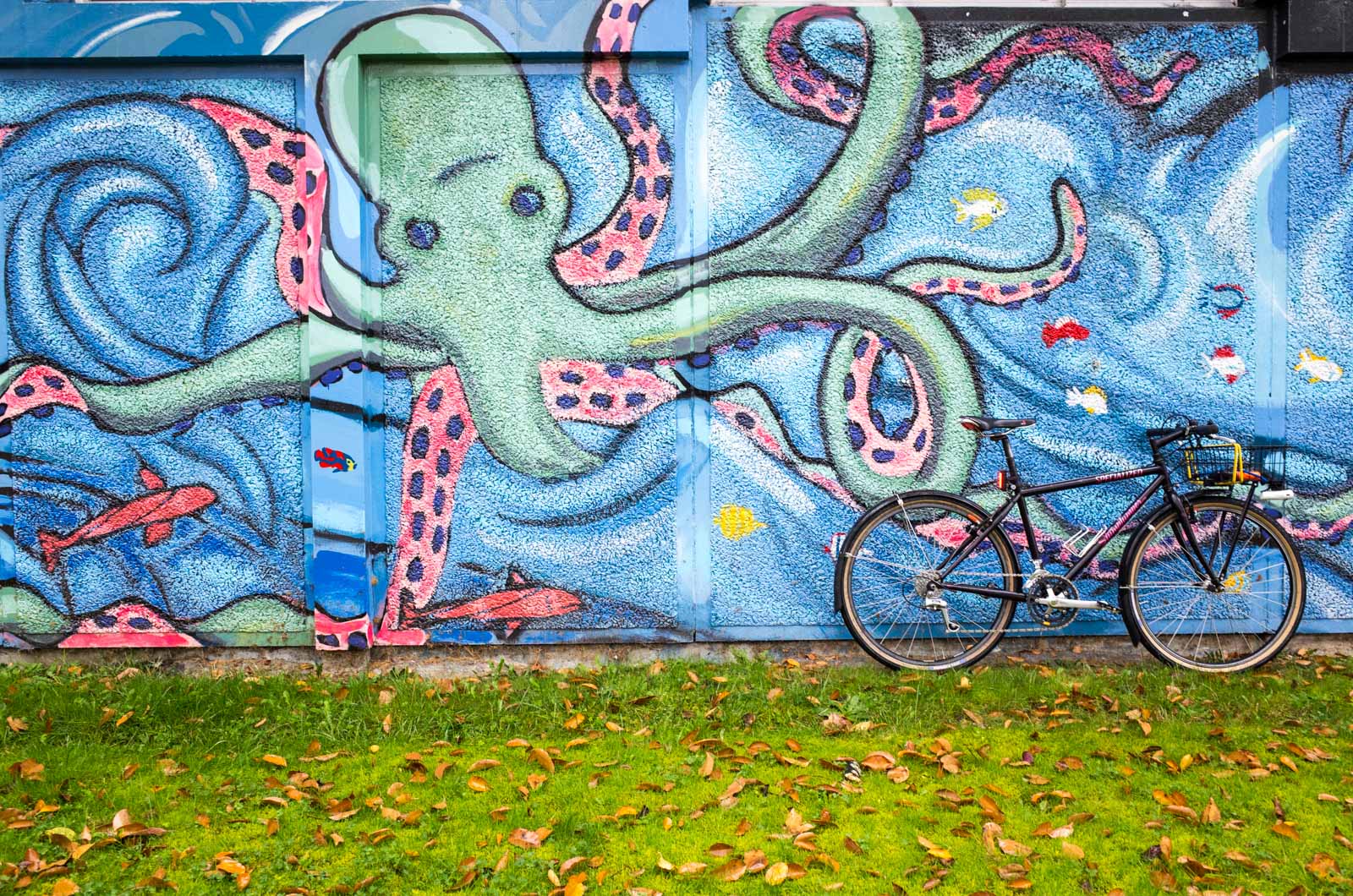 Switched over to the town bike for coffees #2-4.