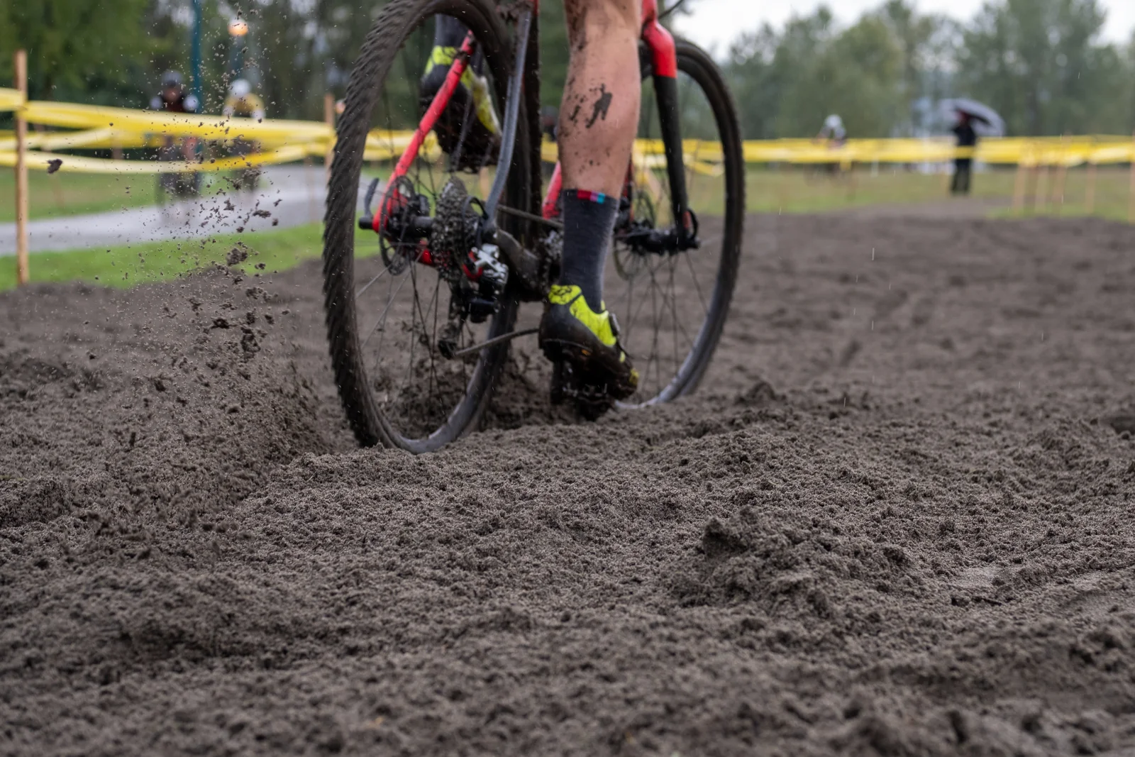 LMCX-2018-Donkey-013.jpg