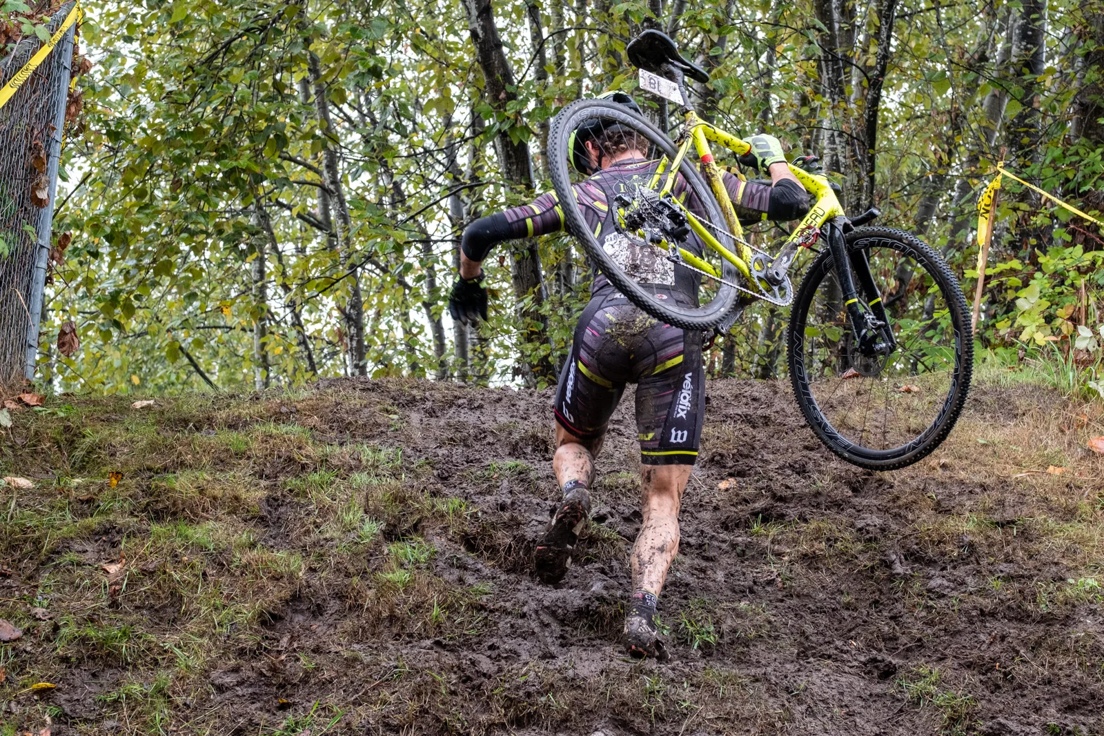 LMCX-2018-Donkey-021.jpg
