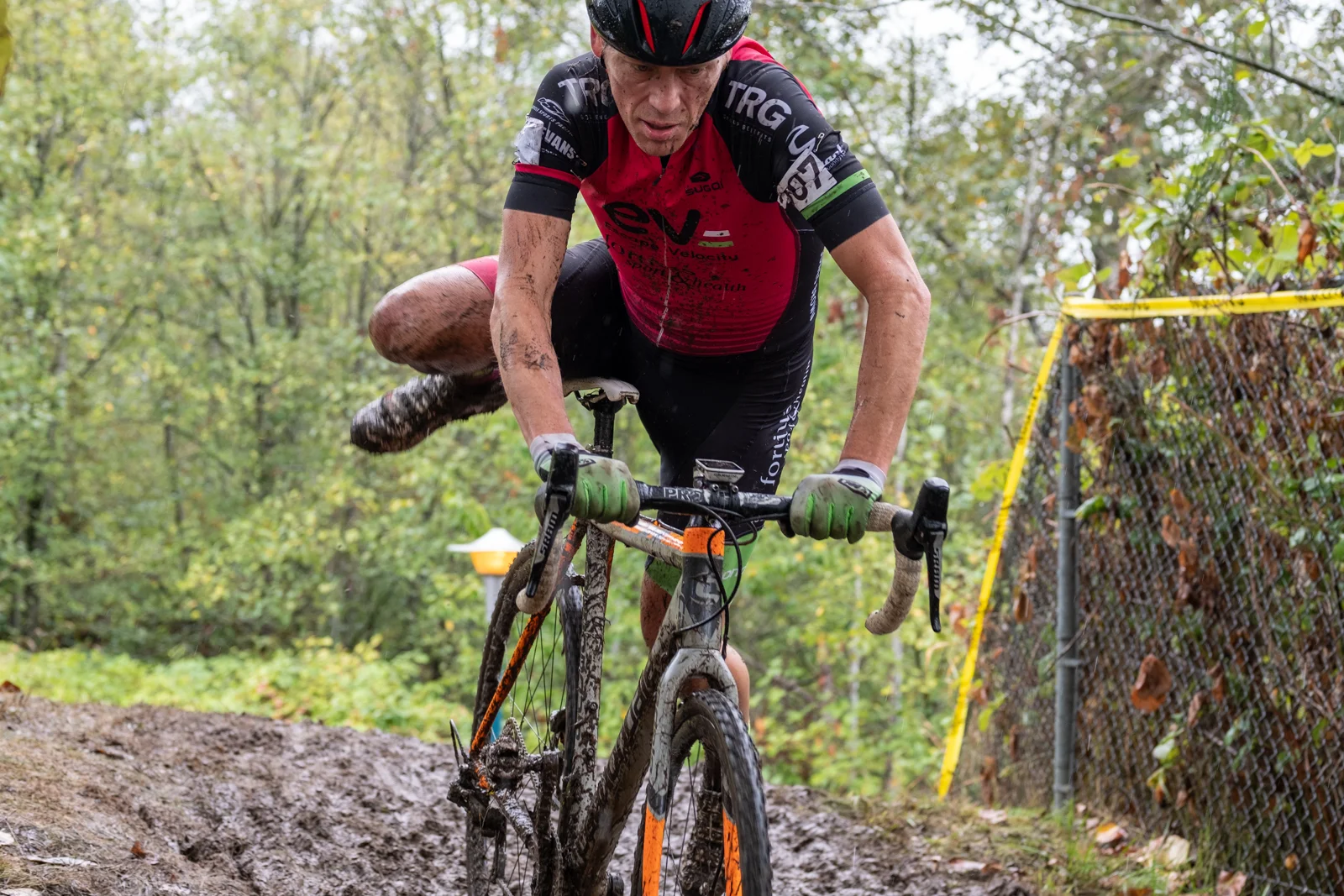 LMCX-2018-Donkey-025.jpg