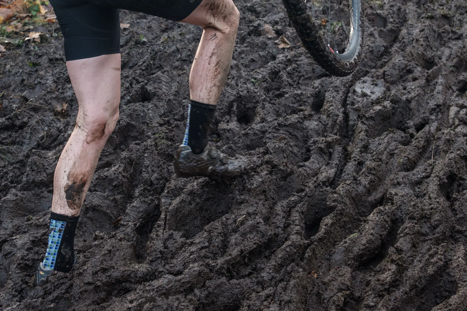VCXC18-Queens-016.jpg