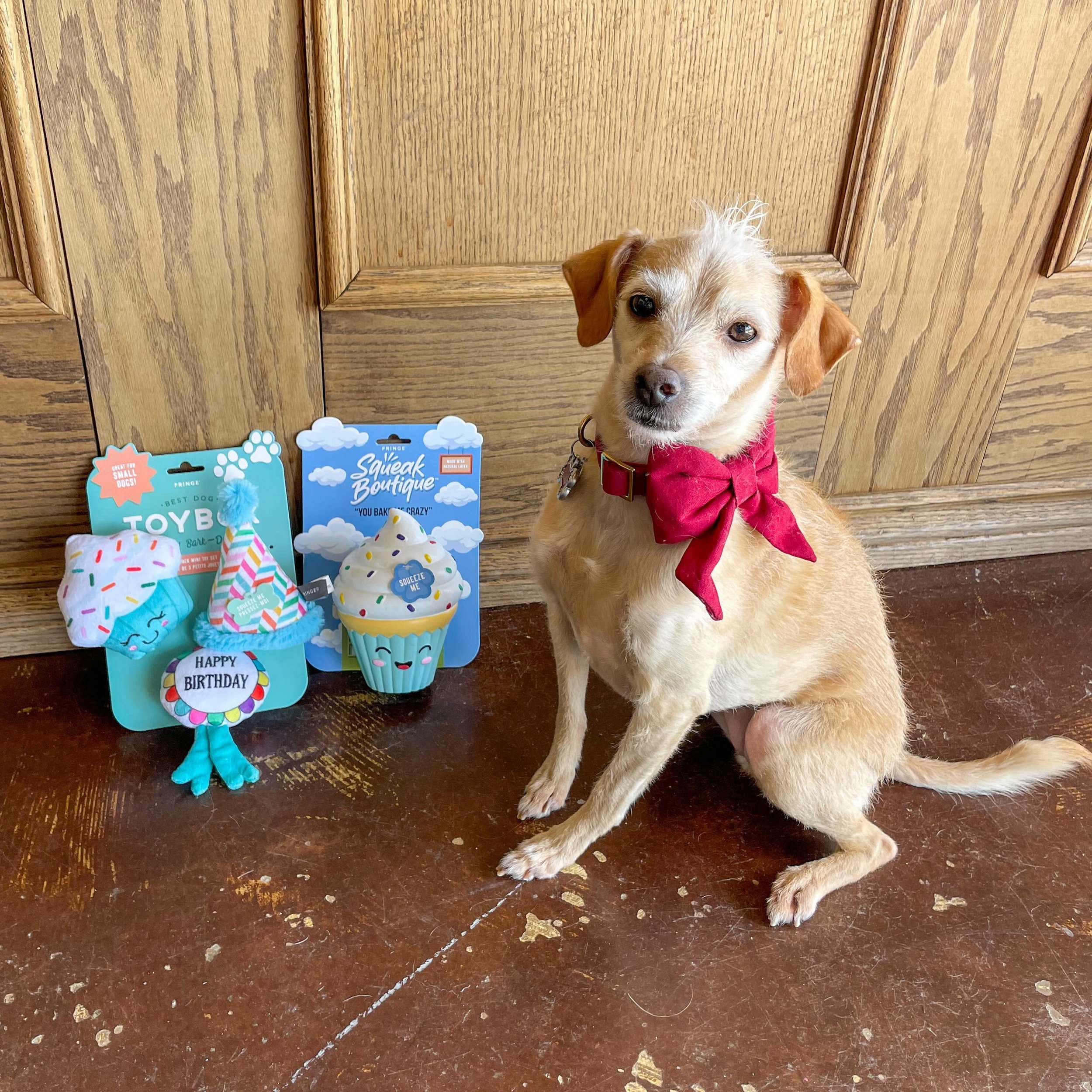 Lilly came in to pick out a birthday toy for her 6th birthday but she needs help choosing! Which one do you think she should go home with?? 🥳🧁