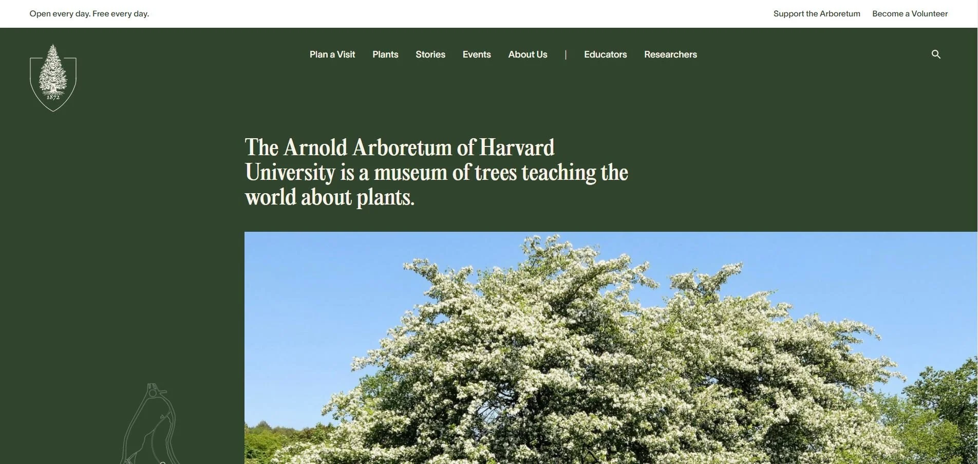 Arnold Arboretum