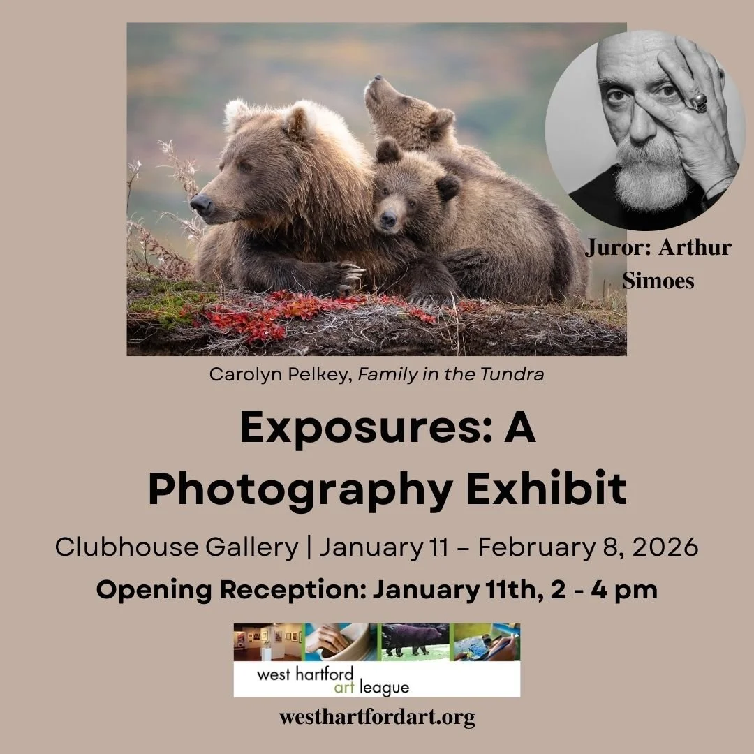 Exposures Arthur Simoes.jpg