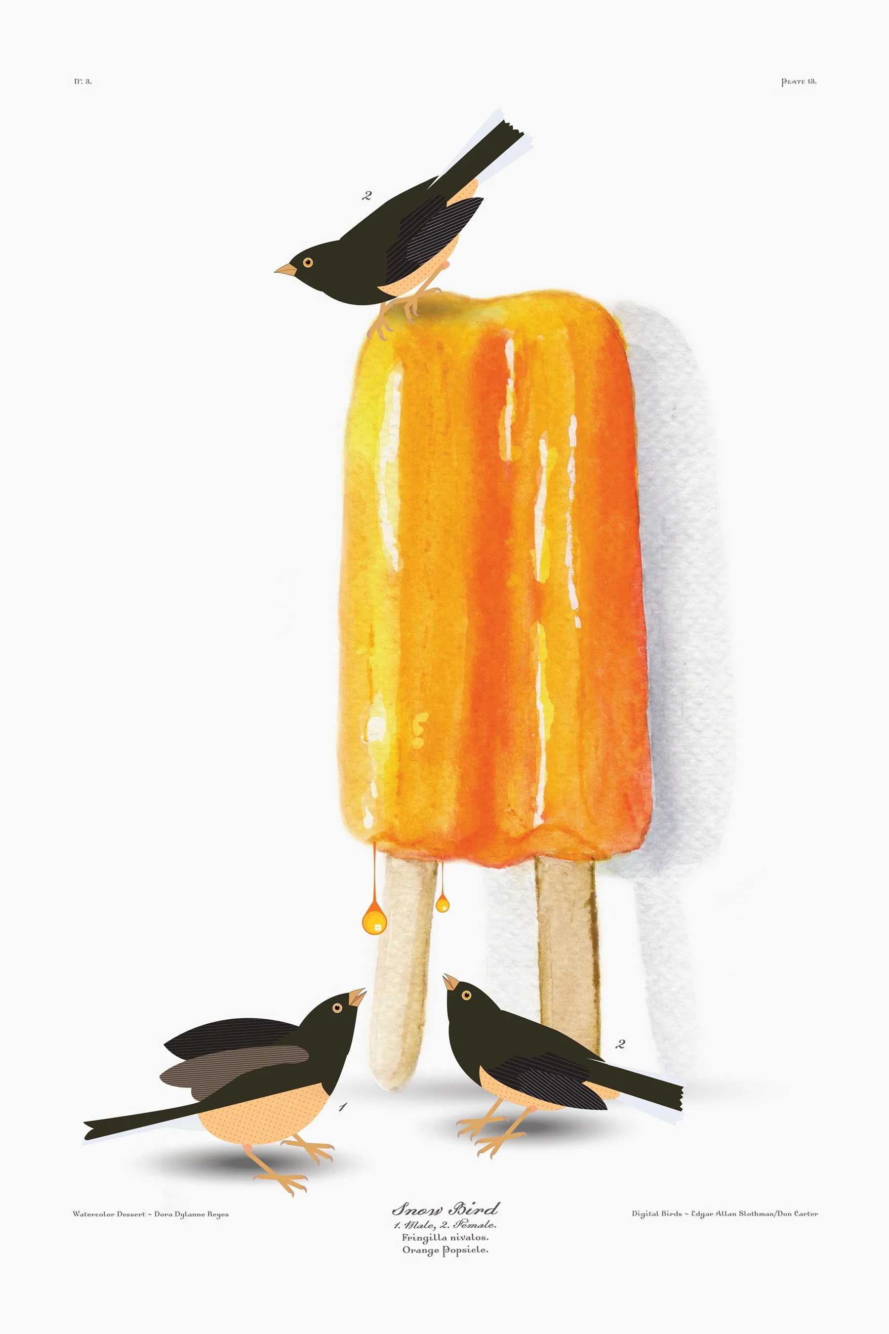 2436PopsicleSnowBird.jpg