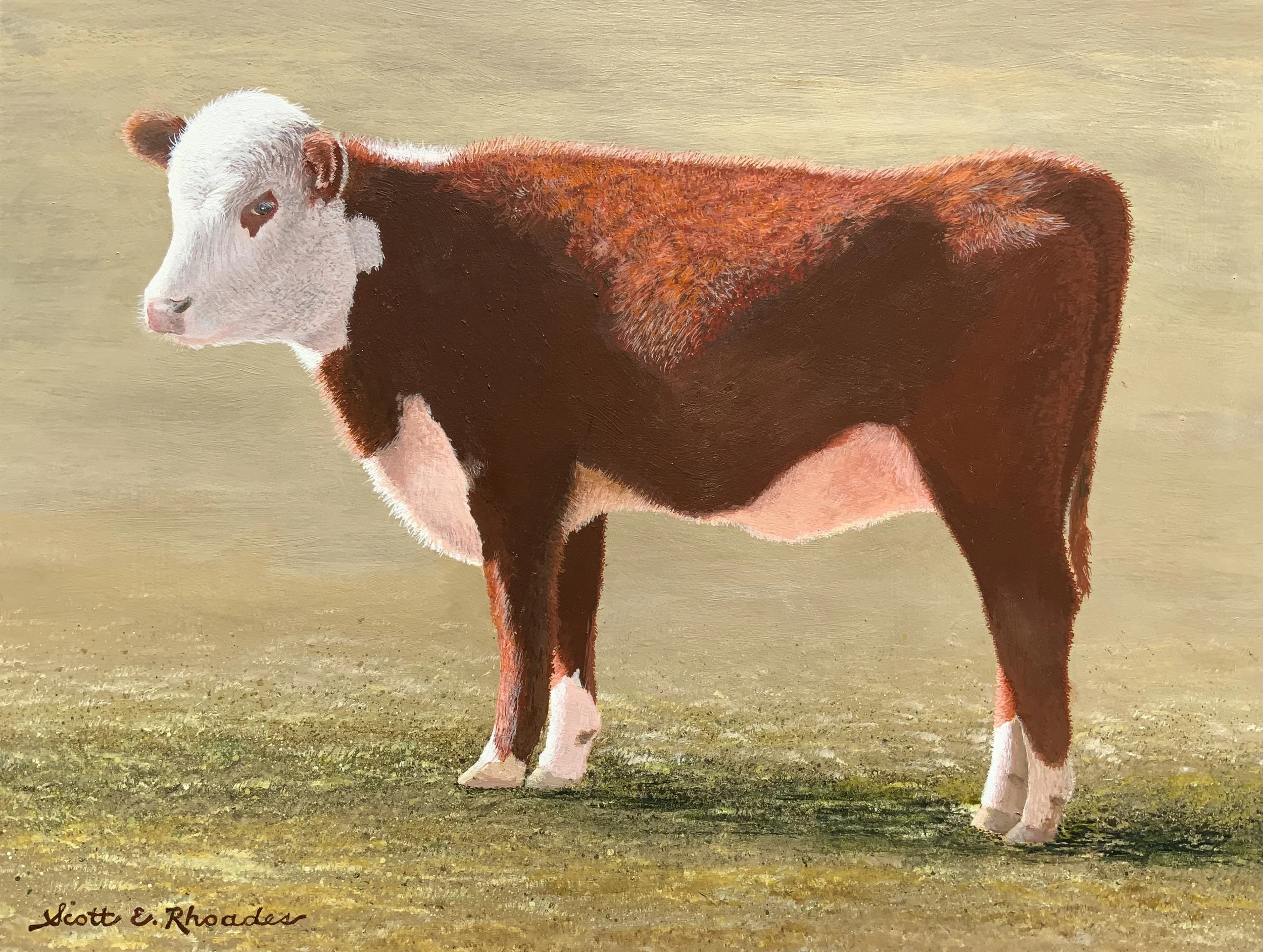 Rhoades-4.jpg
