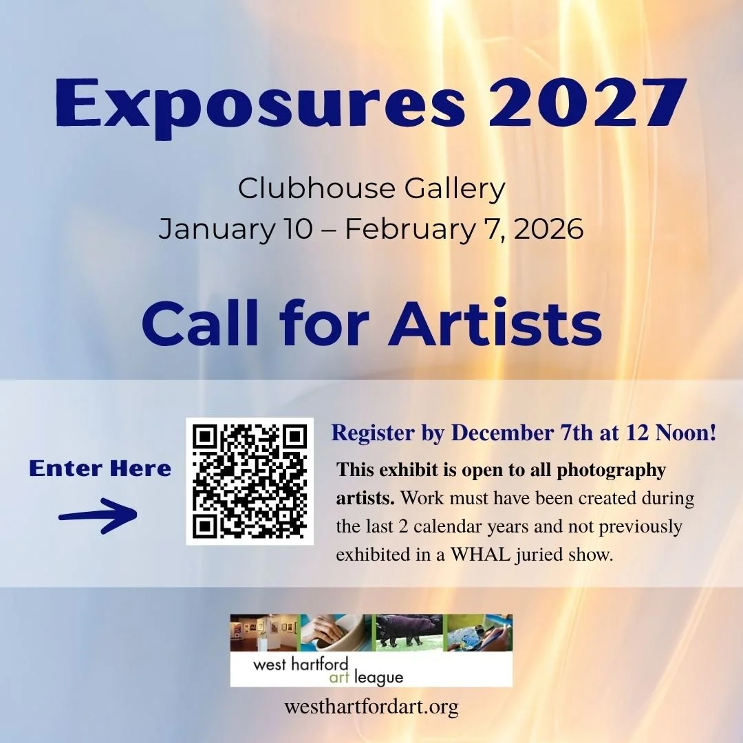 Exposures 2027 Call for Artists.jpg