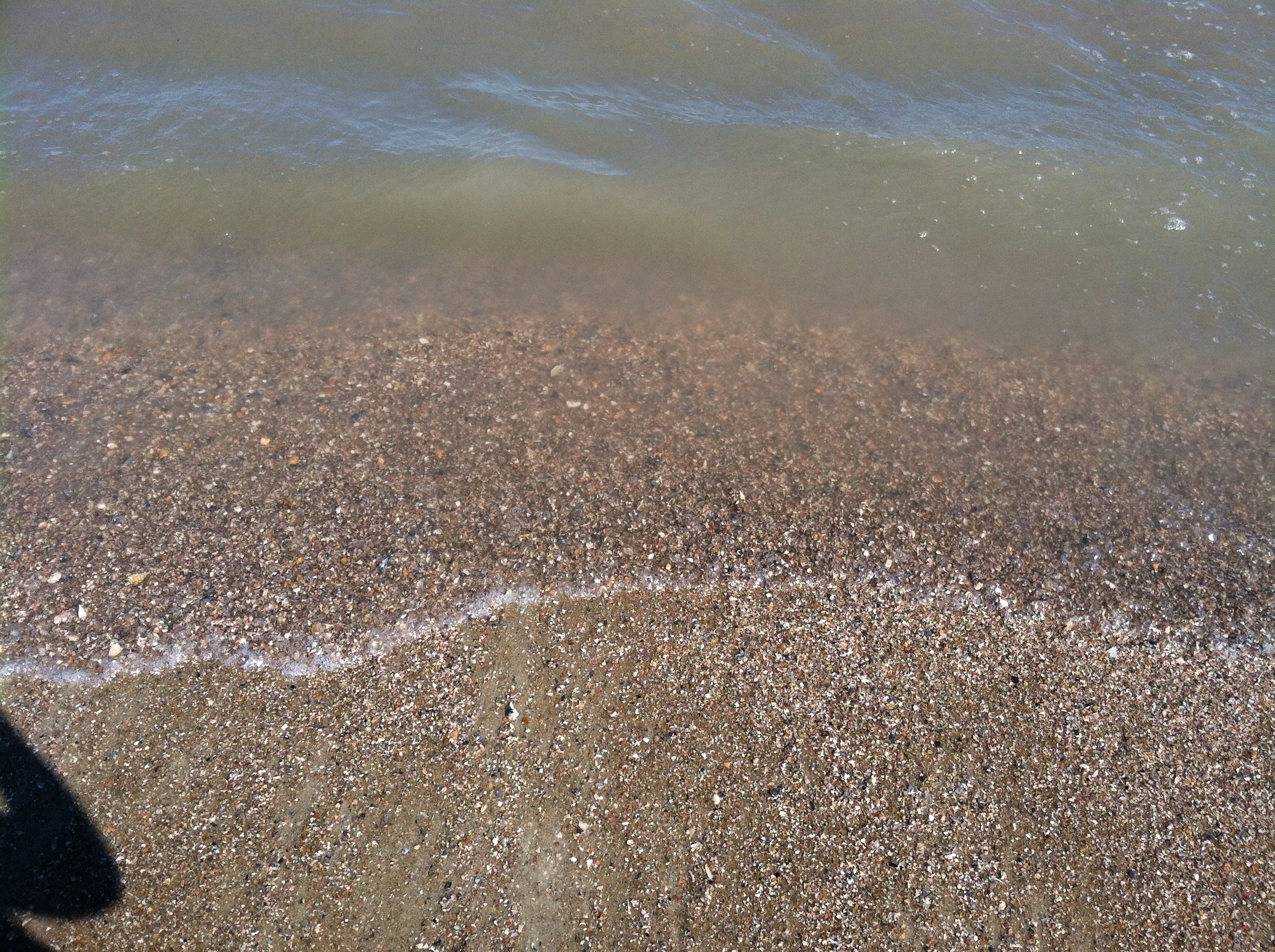 Oh, sweet ocean waves! Seashells galore!