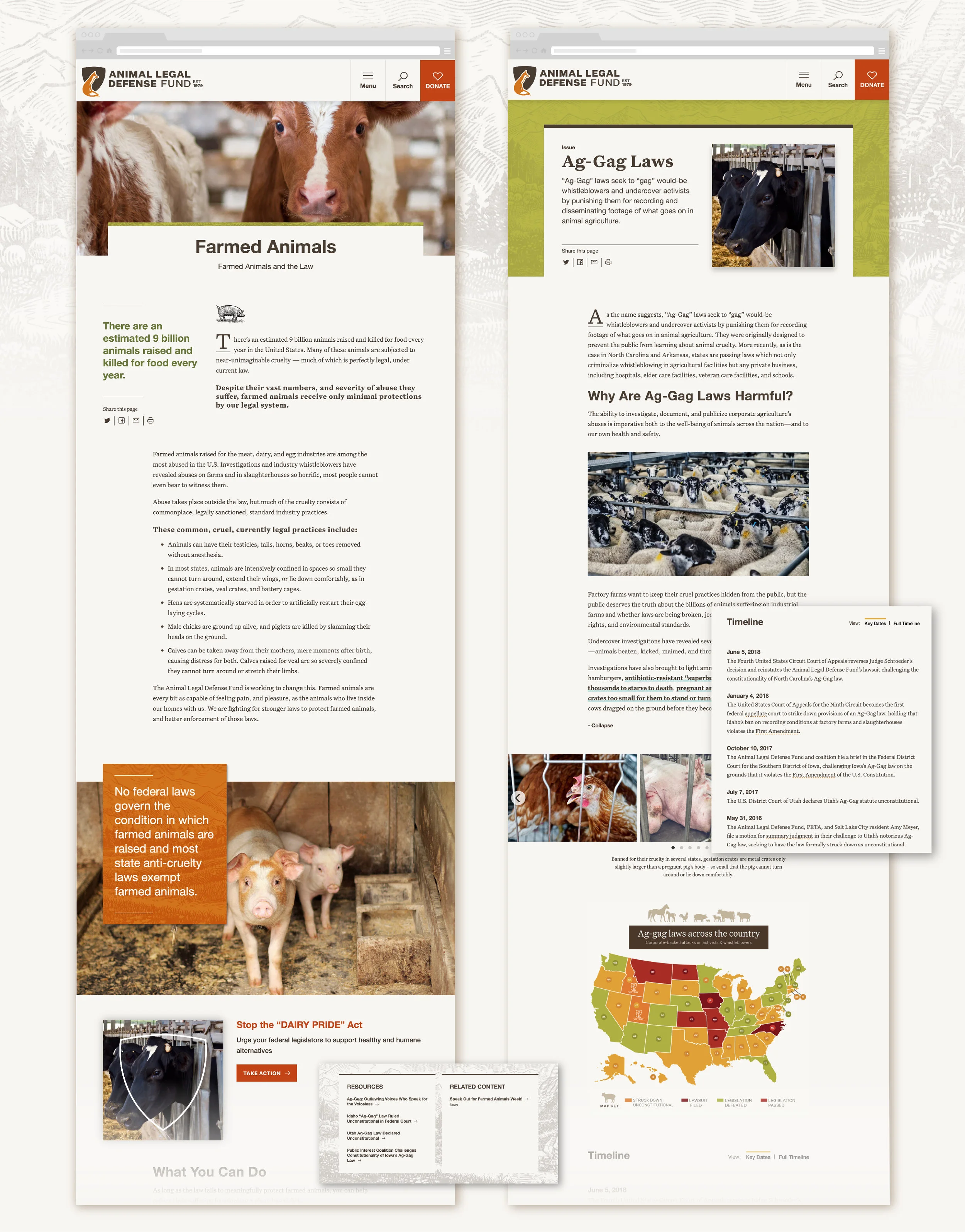aldf-webArtboard 14.jpg