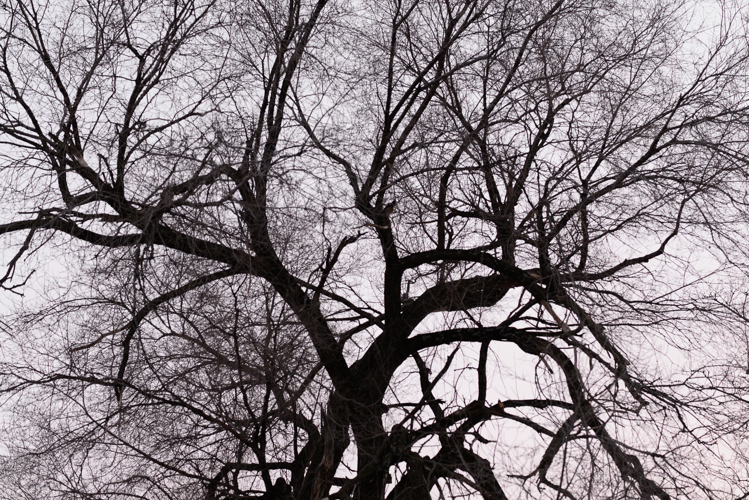 ©HeatherSmithJones_jan102014_3.jpg