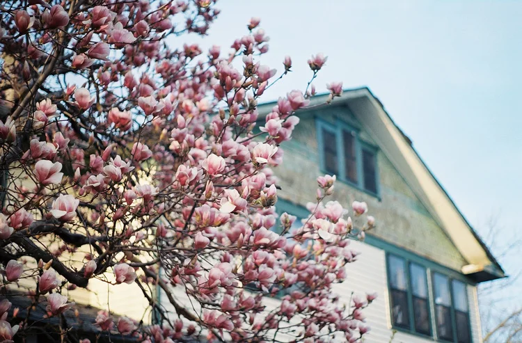 And I found this. In 2011 I photographed it in film.