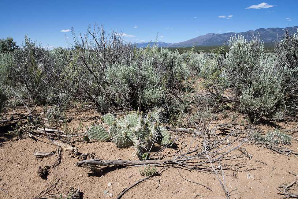 ©HeatherSmithJones_Taos_6_Gorge.jpg