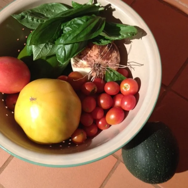 Dinner makings, from the garden.