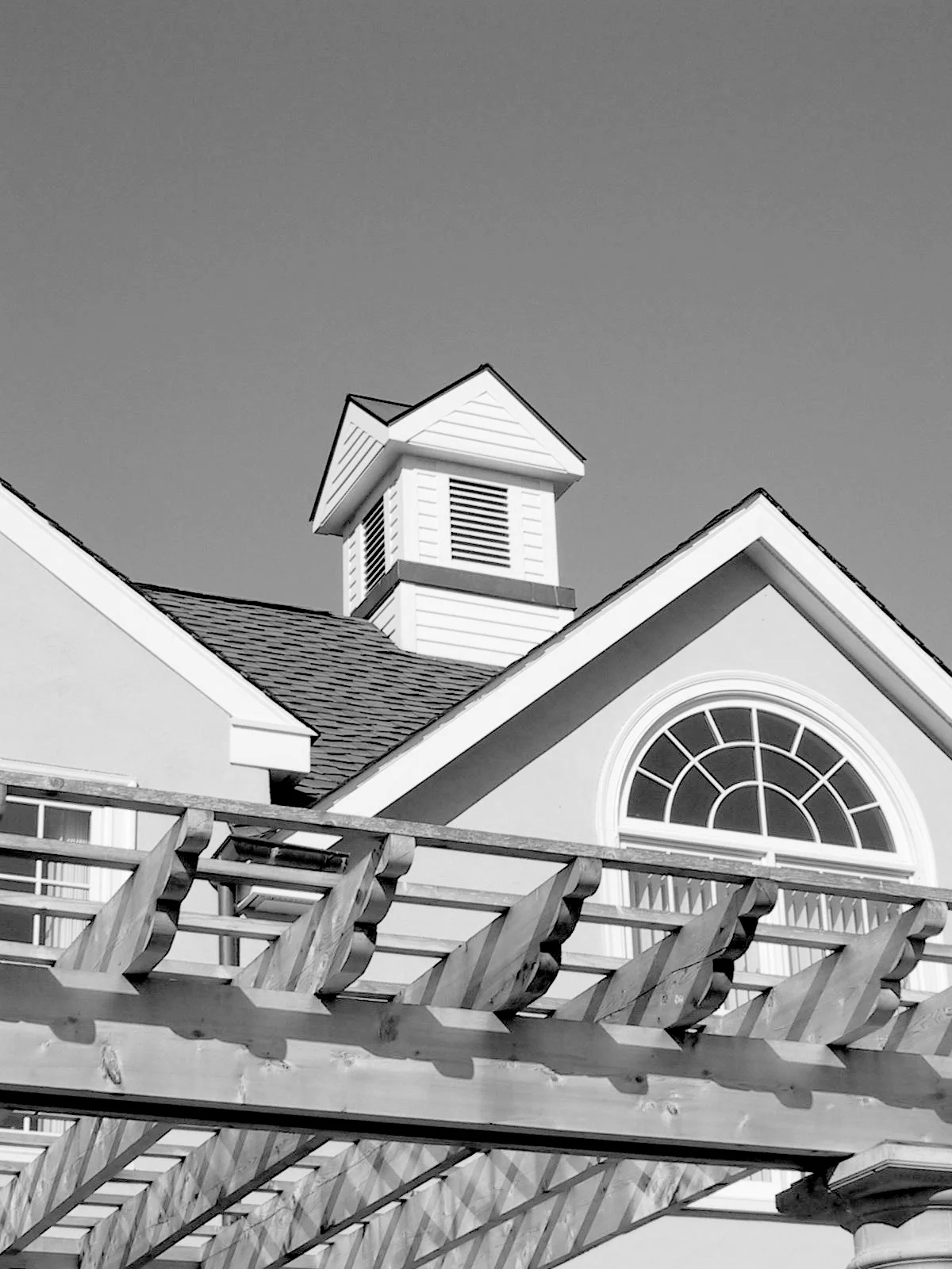 pavoni cupola BW.jpg