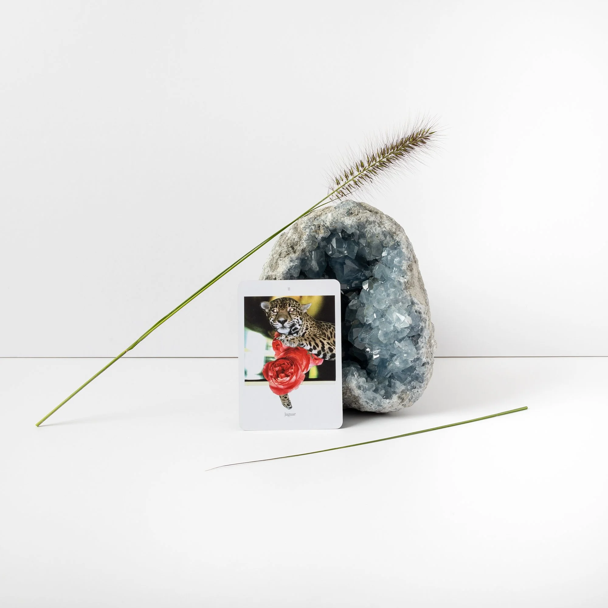 Lost+FoundOracle_low res-32.JPG