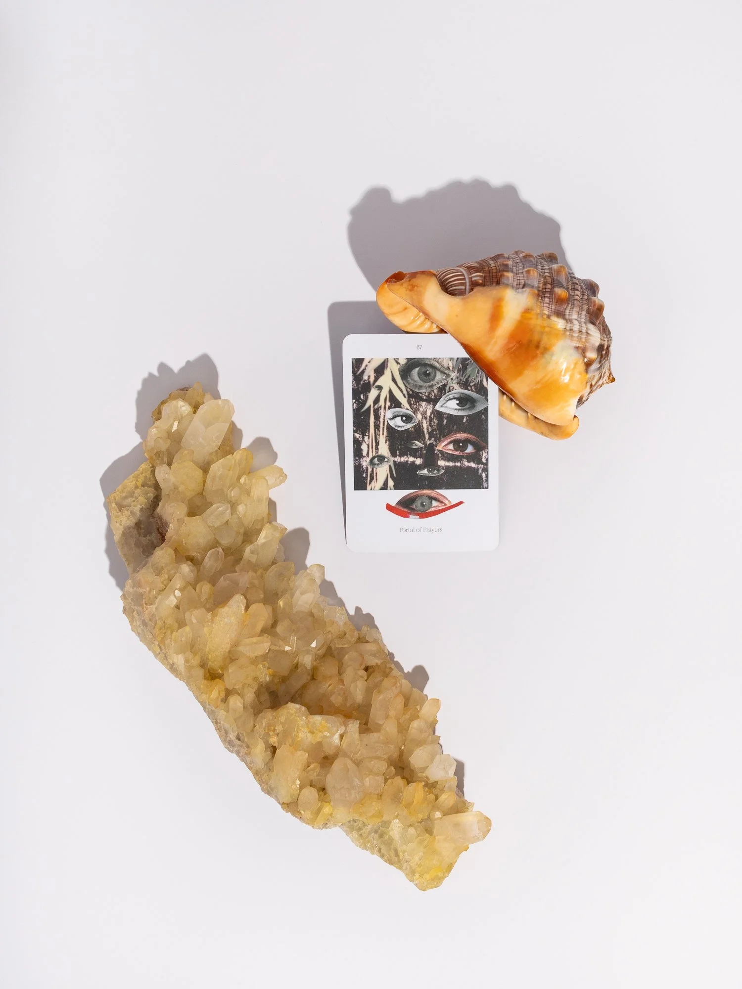 Lost+FoundOracle_low res-17.JPG