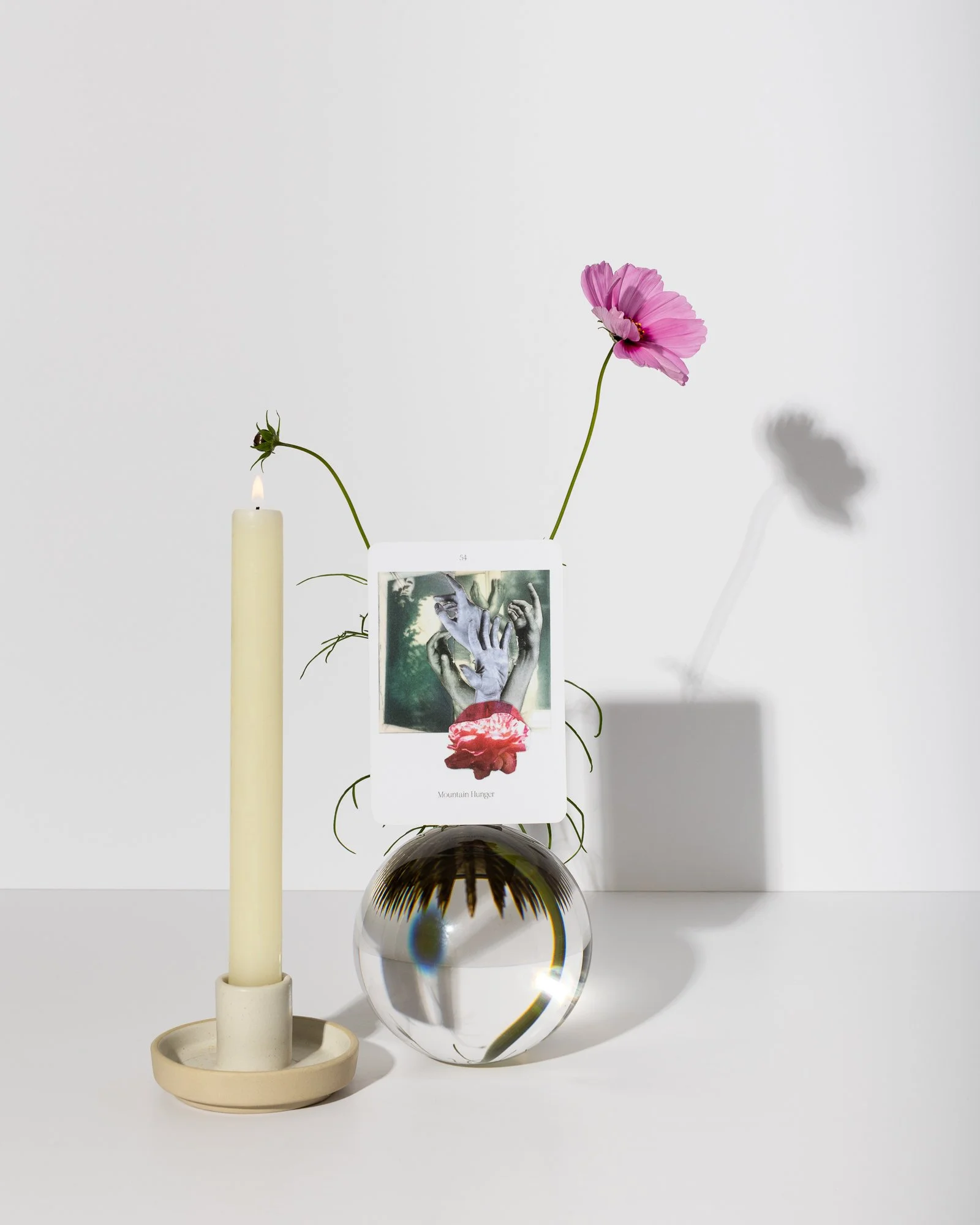 Lost + Found Oracle 2_for online use-15.JPG