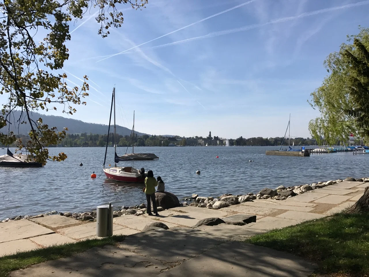 IMG_6589.jpg