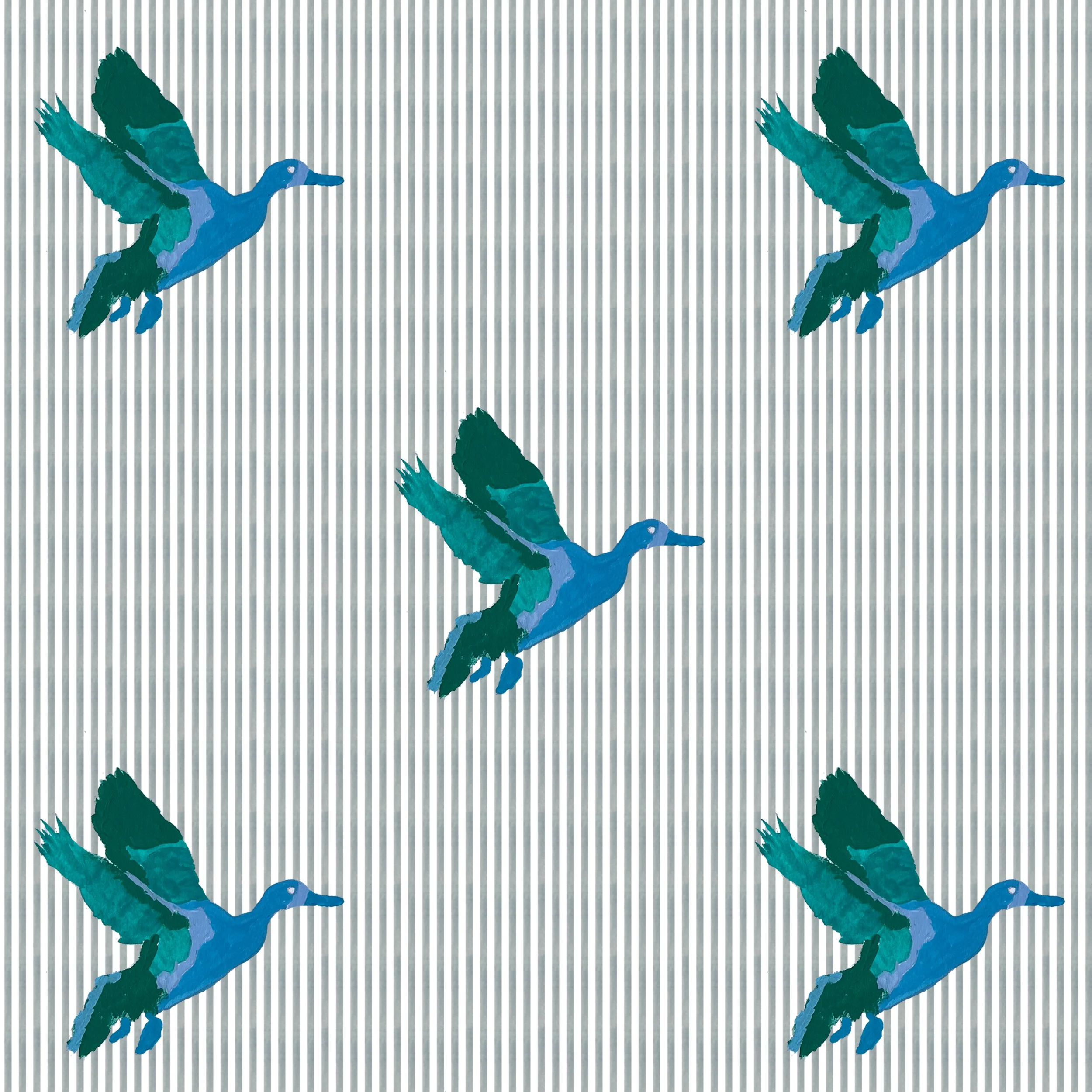 duck ex copy.jpg