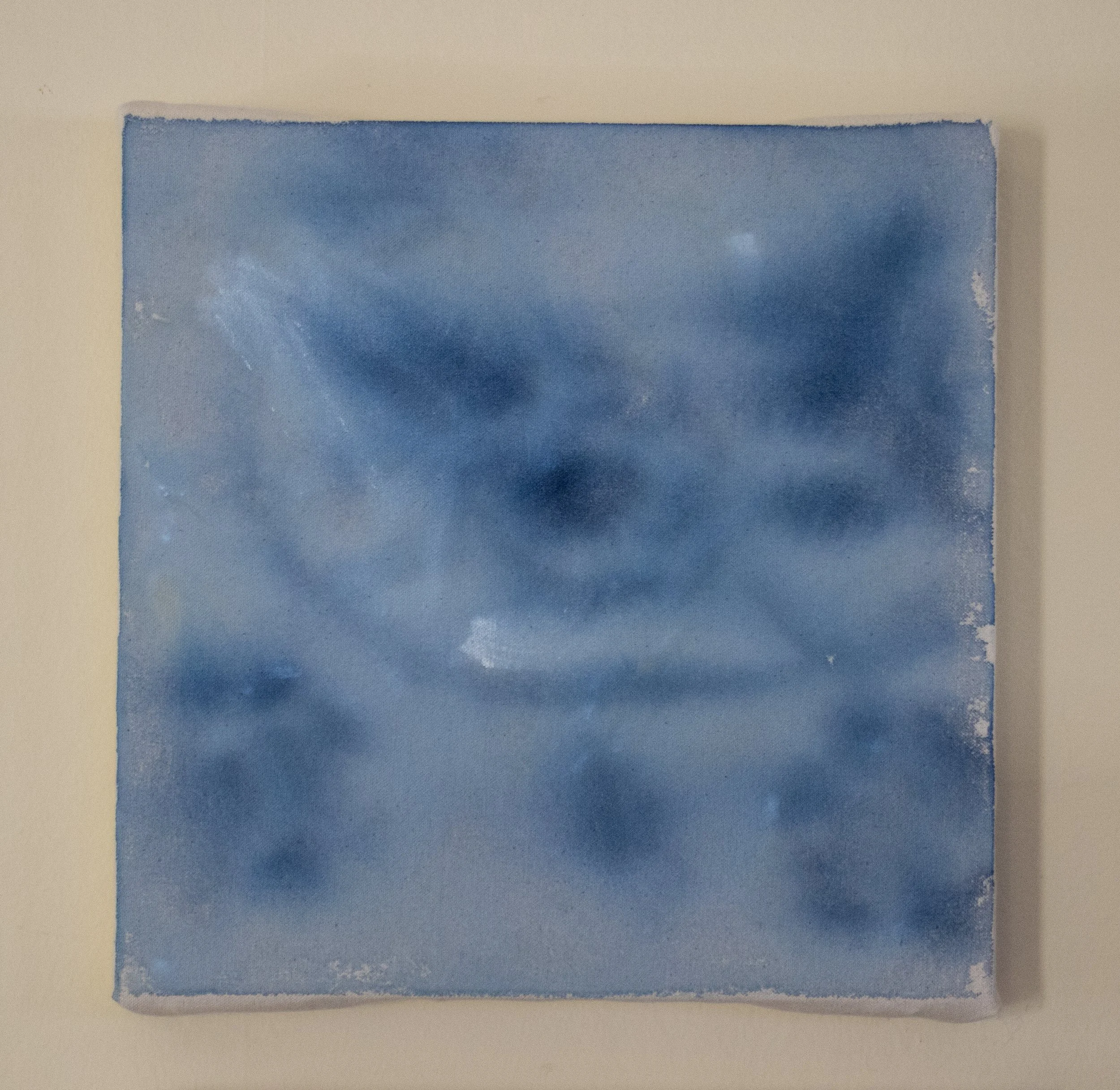 flowering branch.jpg