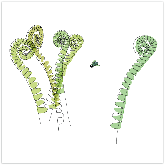 grgwrIllo-spots_spot-fern.png