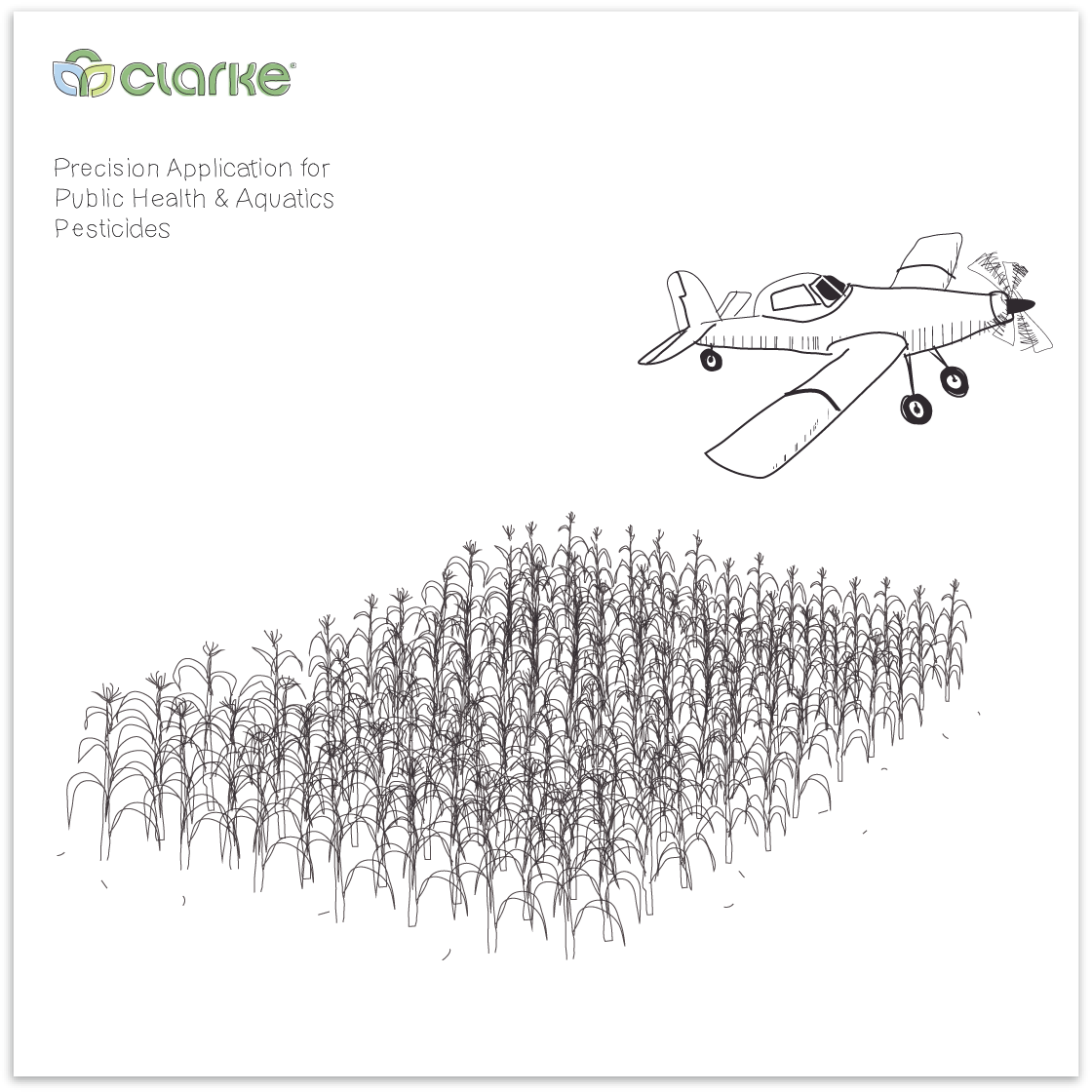 grgwrSketchesclarke-plane.png