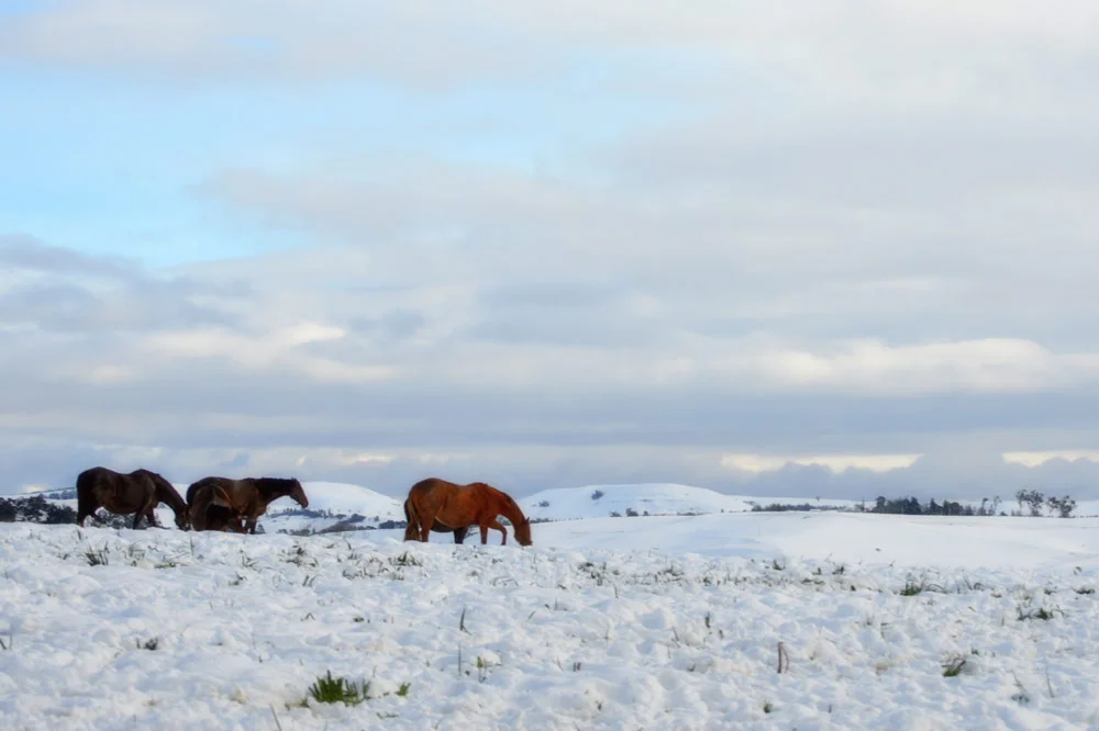 midlands-snow.jpg
