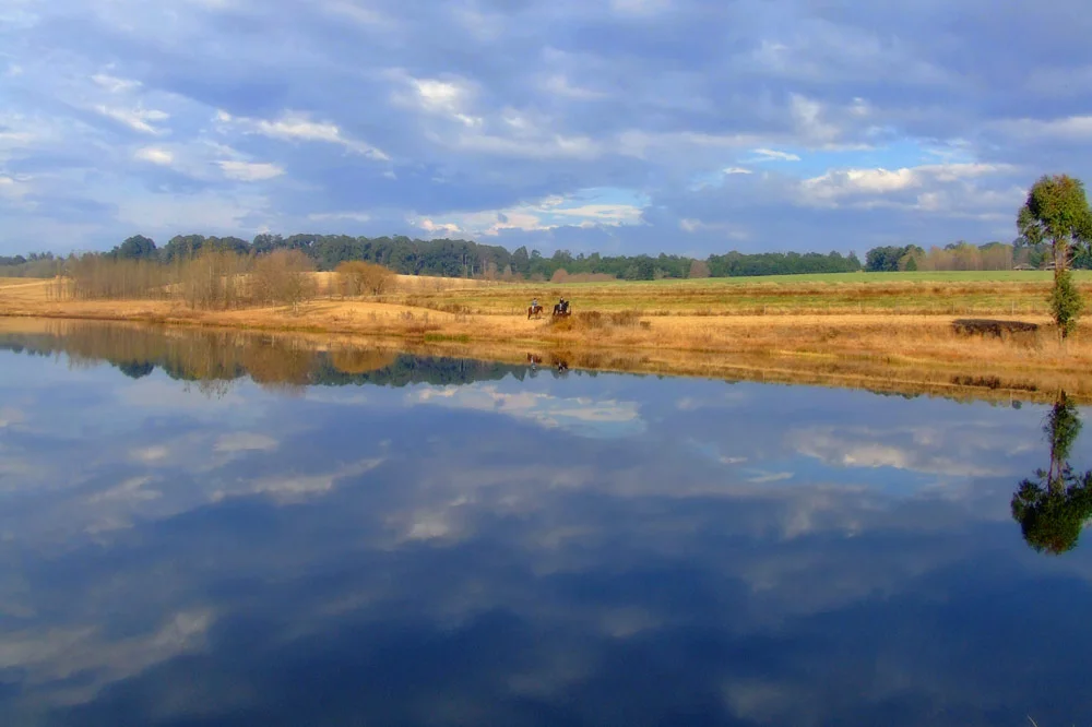 horse-riding-kzn-midlands.jpg