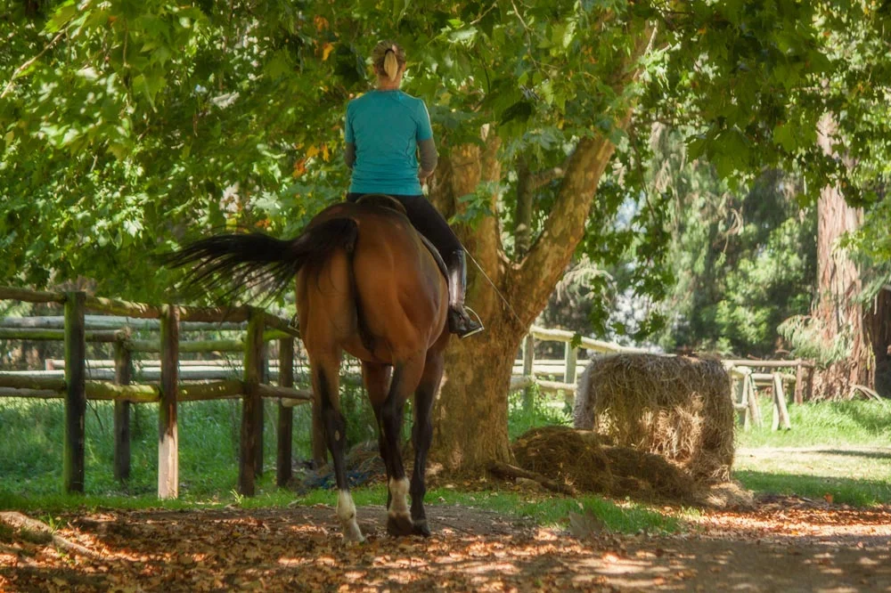 horse-riding-midlands.jpg