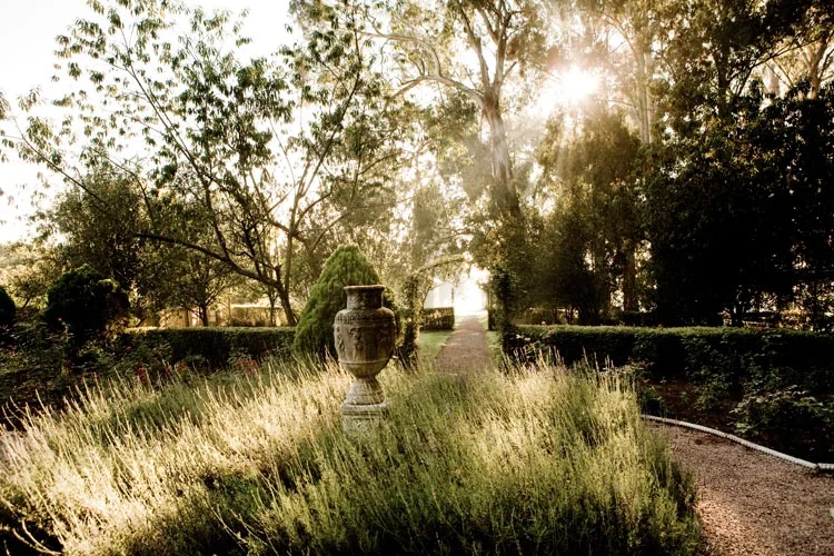 urn-in-garden.jpg
