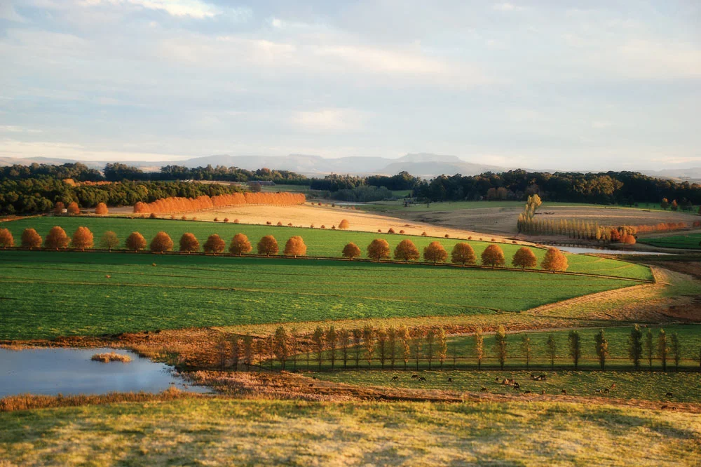 farm-lands.jpg