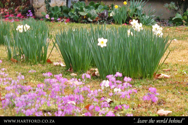 hartford-spring-garden-6.jpg