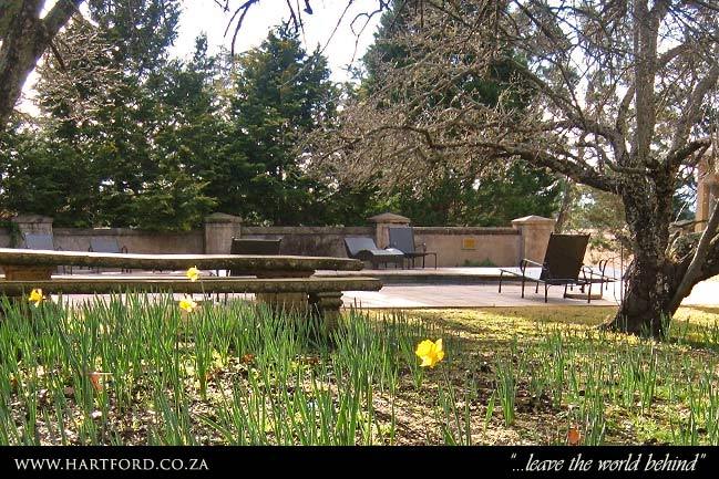 hartford-spring-garden-7.jpg