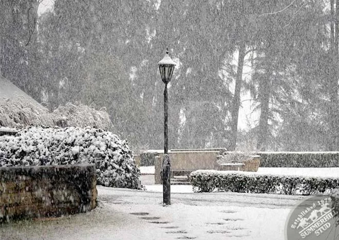 kzn-midlands-snow-2012-2.jpg