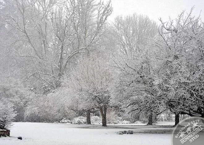 kzn-midlands-snow-2012-3.jpg