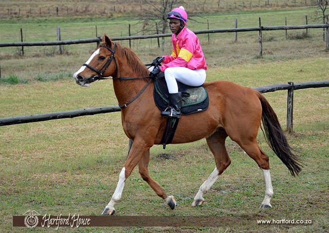 private-race-meeting-hartford-3.jpg